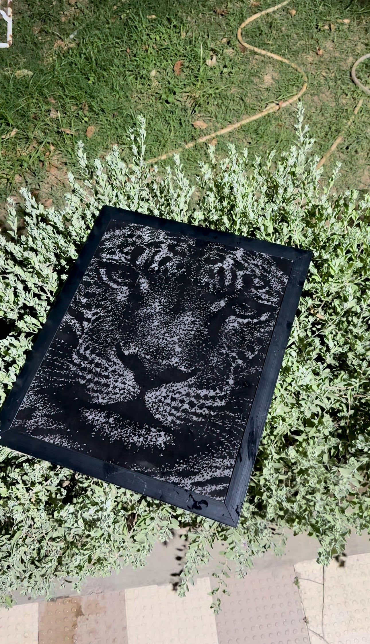 WILDIN WALL RUG