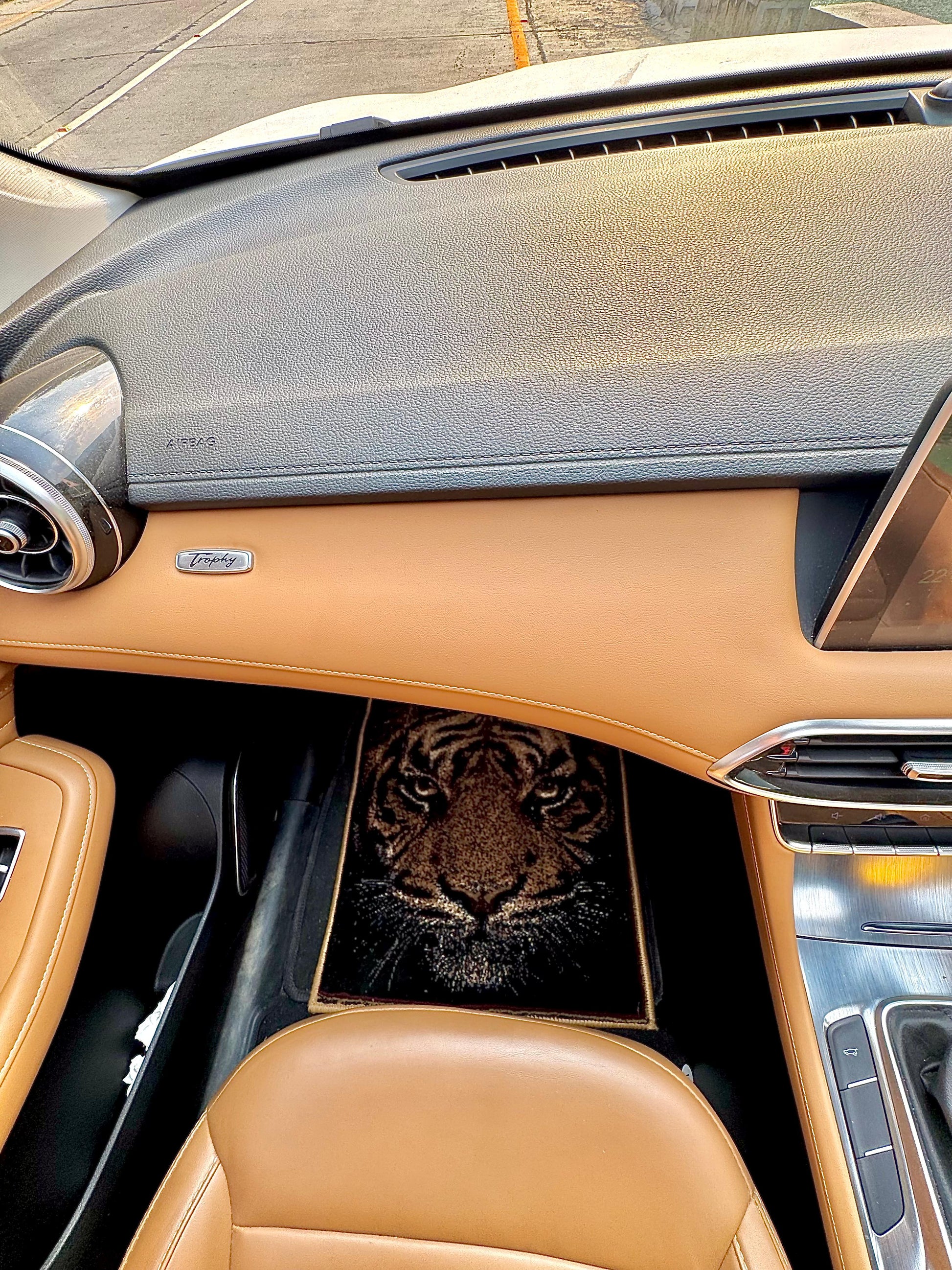 Panthera Tigiris Car Rug